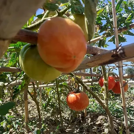 Vayianna's Garden House ליקסורי
