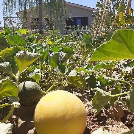 Vayianna's Garden House