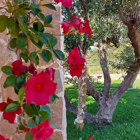 Villa Vayianna's Garden House