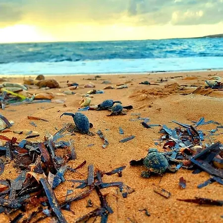 Vayianna's Garden House 빌라 *