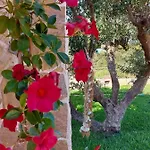 Villa Vayianna's Garden House