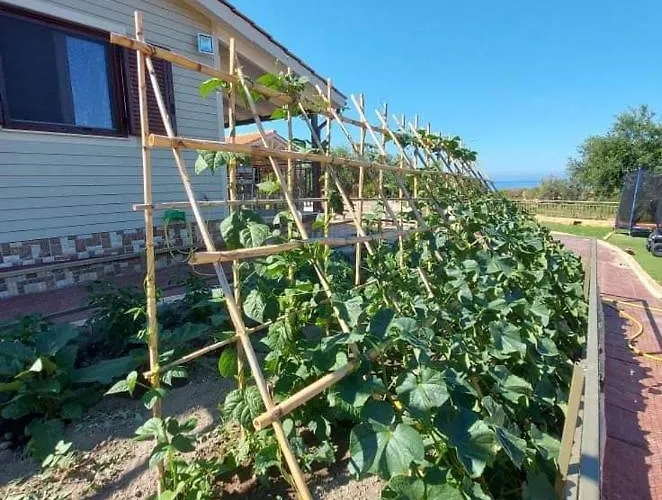 Vayianna's Garden House
